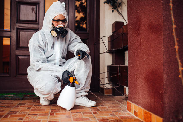 Reliable Wasp Removal contractor in New York Mills, NY by Show Me Pest Control